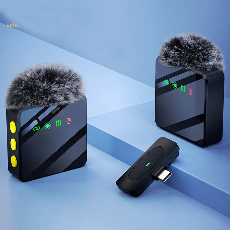 professional microphone.