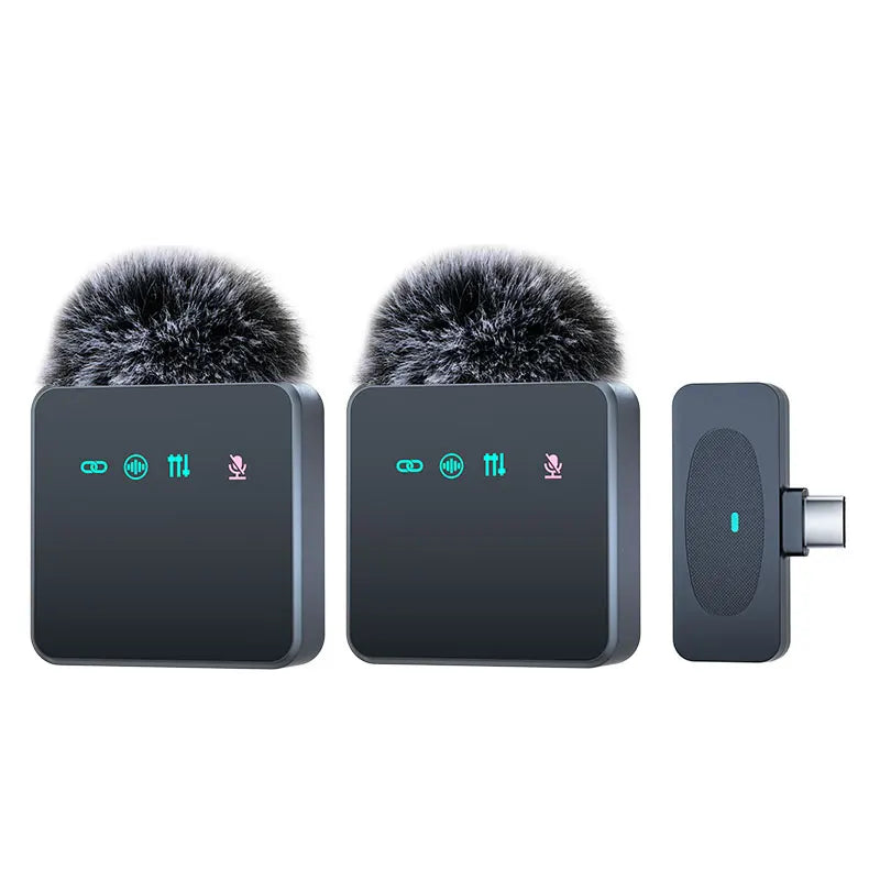 professional microphone.