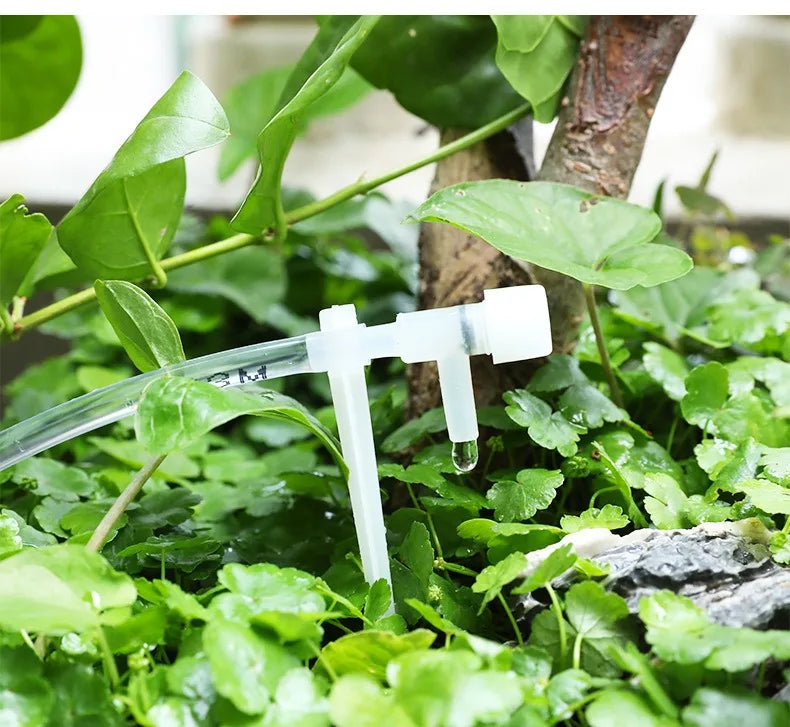 Drip irrigation