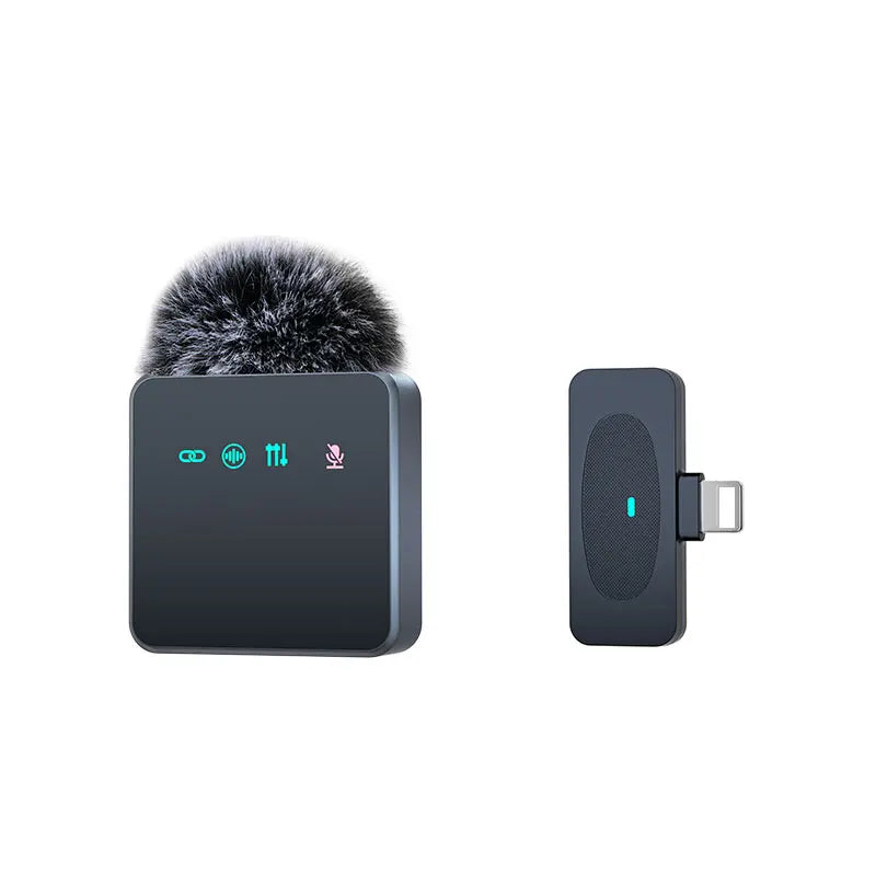 professional microphone.