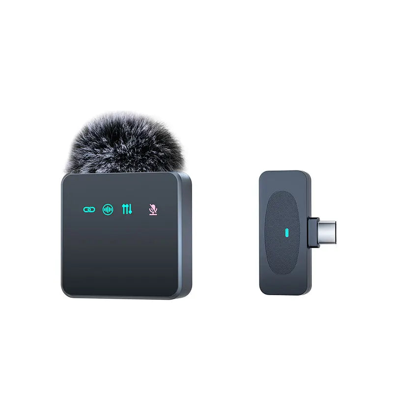 professional microphone.