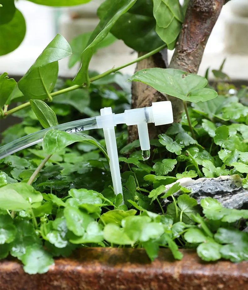 Drip irrigation